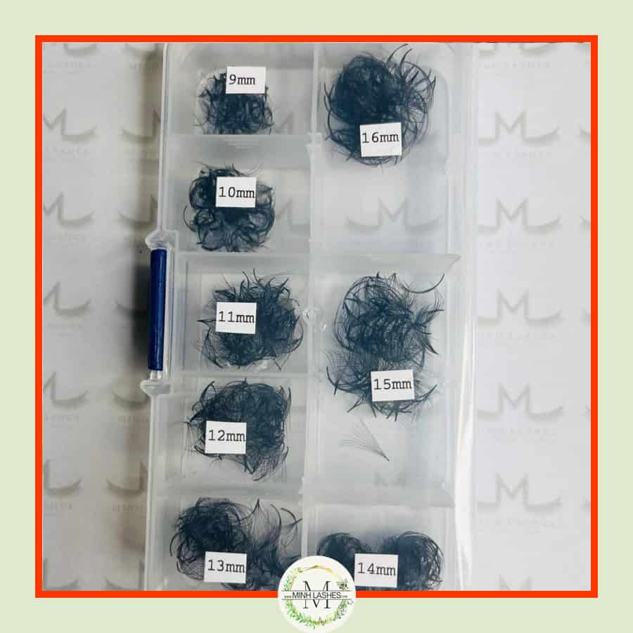 10d-premade-fans-0-07-mix-size-1.jpg