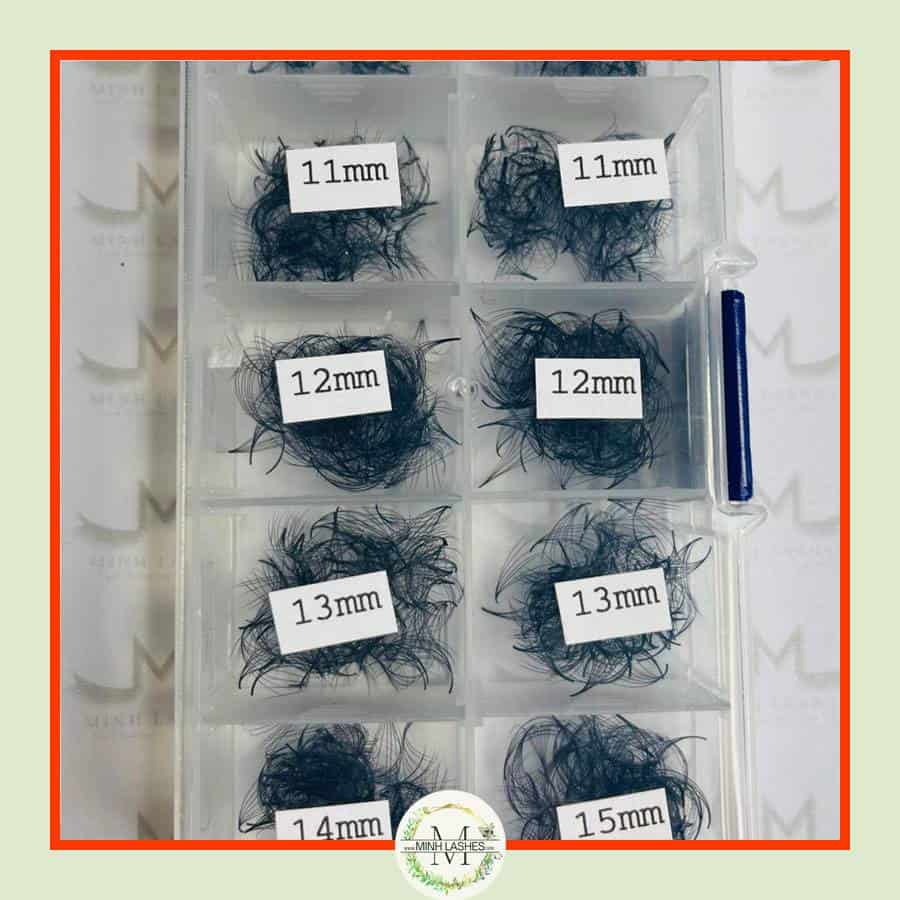 6d-premade-fans-0-07-mixed-box-1100-fans-9mm-15mm-2.jpg