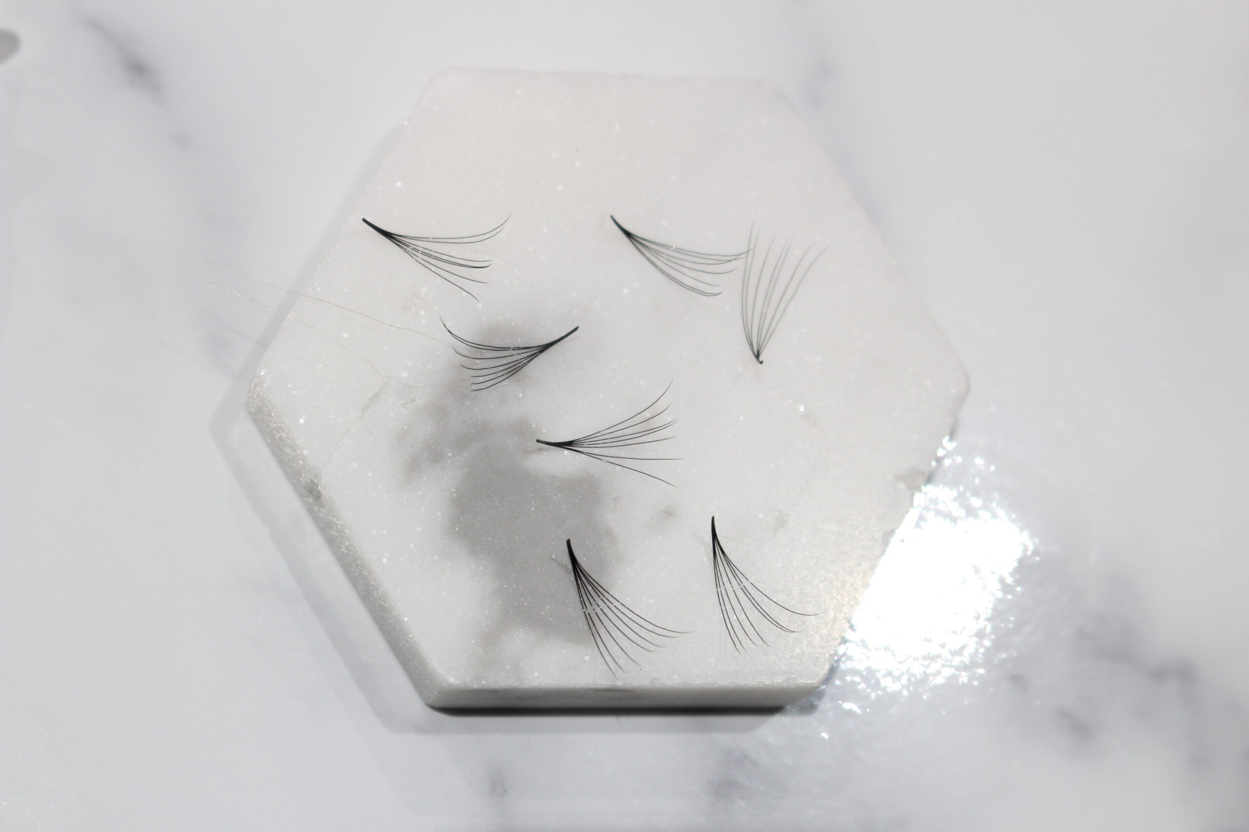 Minh-Lashes-Premade-Fan-7D-scaled-2.jpg